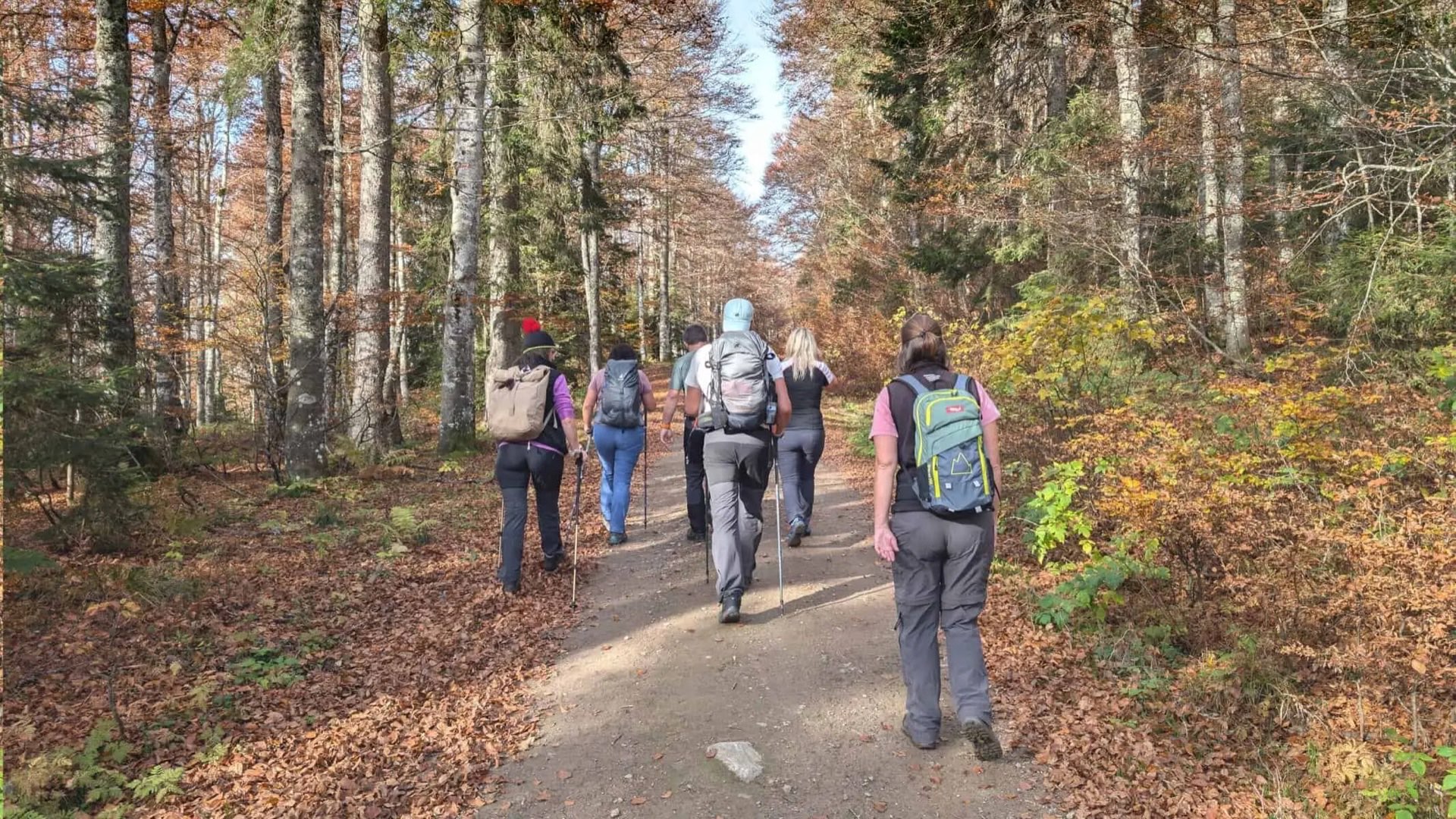 Wandern im Schwarzwald